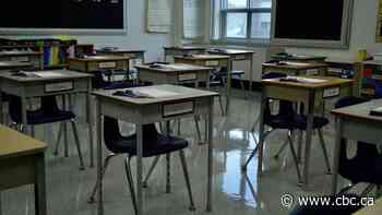 Arbitrator finds N.B. government failed to protect teaching staff working with violent student