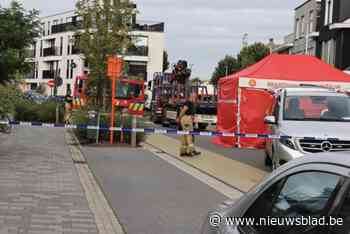 “Ineens had hij iemand doodgereden”: trucker riskeert celstraf voor fataal ongeval met fietsster
