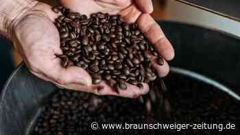 Handelspreise von Kaffee auf Rekordhoch – Wie es jetzt weitergeht