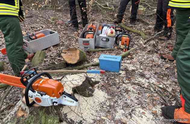 FW Wathlingen: Motorkettensägenausbildung in der Samtgemeinde Wathlingen - 12 Einsatzkräfte absolvieren das Modul A