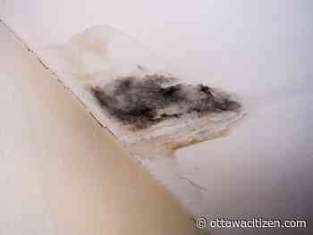 Houseworks: Fixing a ceiling in the winter 