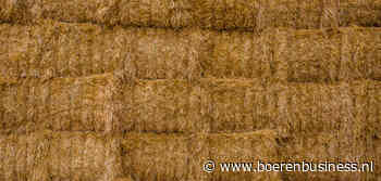 Matige graanoogst merkbaar in aanbod stro