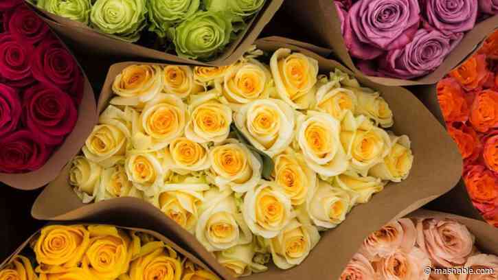 Go big on romance with 36 farm-fresh roses delivered to their door