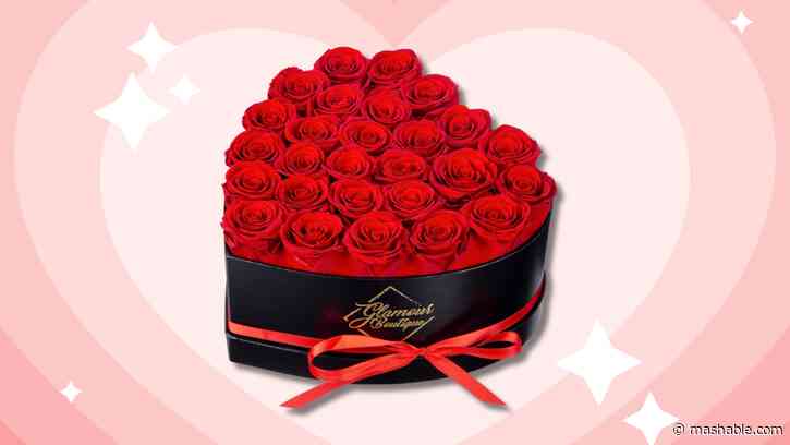 Looking for an affordable Venus et Fleur dupe for V-Day? These preserved roses are only $59.94