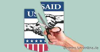 Elon Musk: Wie der reichste Mann der Welt die US-Entwicklungsbehörde USAID zerlegt