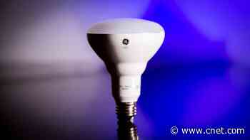 Best LED Floodlight Bulbs of 2025