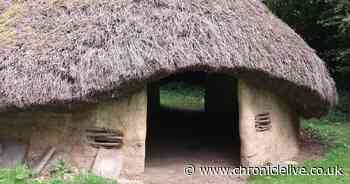 Plans submitted for replica Iron Age house in Rising Sun Country Park