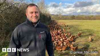 Farmers call for new rules amid bird flu risk