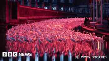 Light festival brings colour to city centre