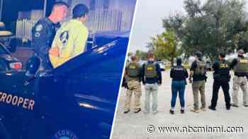 Suspected members of Venezuelan gang Tren de Aragua detained by FHP