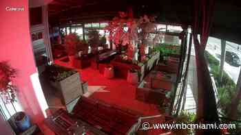 Surveillance video captures 2 stealing TV from Sushi Sake in Miami