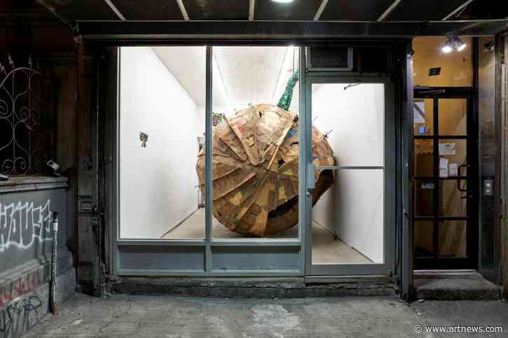 Despite a Wave of Closures in New York, Small Galleries Here Are Flourishing