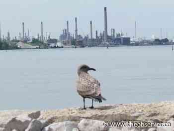 Science board seeks action by Canada and the U.S. on microplastics in Great Lakes