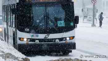 Winnipeg man faces multiple weapons charges after unprovoked hammer attack on city bus: police