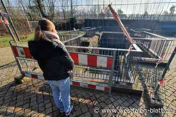 Kinder gefährdet: Steine des Anstoßes über Wasserfall in Höxter