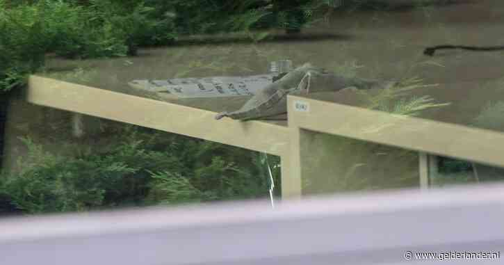 Dit weten we tot nu toe van de ‘verdachte stof’ die is bezorgd bij het gemeentehuis in Didam: ‘We zullen alert zijn’