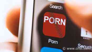 iPhones Get Their First-Ever Porn App, and Apple Is Not Happy