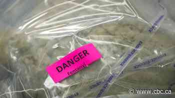 What's a 'fentanyl czar'? The Canadian government is still figuring that out