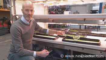 Eendenkroos binnenkort op je bord: 'Smaakt naar andijvie'