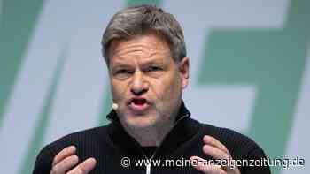 Habecks „Sicherheitsoffensive“ löst Empörung aus