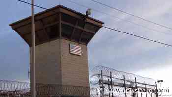 Eerste illegale migranten worden per vliegtuig naar Guantanamo Bay gebracht