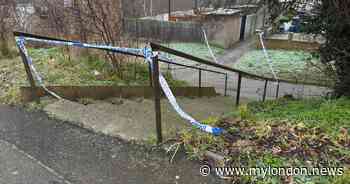 Croydon man left with life changing injuries after horror stabbing