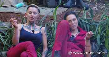 Dschungelcamp, Tag 12: Sam Dylan fliegt raus