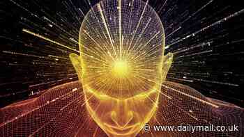 Scientists discover new 'wonder supplement' that could supercharge your memory and concentration