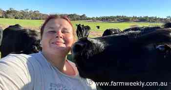 Cattle cruelty: "For someone to do that, they must be pretty sick in the head"