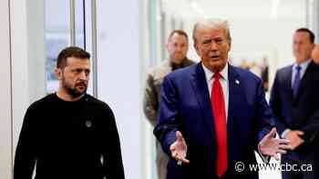 Zelenskyy told Trump Ukraine would consider sharing rare earth minerals in exchange for military support