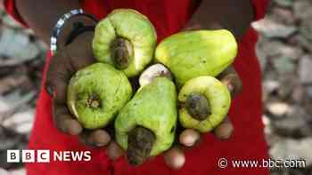 Ghana wants more for its cashews, but it's a tough nut to crack