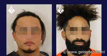 Politie kreeg al honderden tips over kunstroof Assen