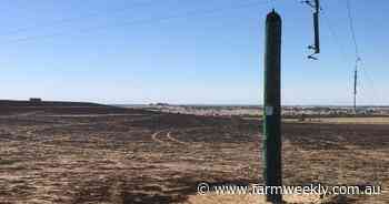 Wheatbelt farmers left in the dark after pole top fires spark mass power outage