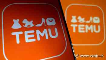 Bericht: EU plant neue Gebühr für Online-Shops wie Temu und Shein