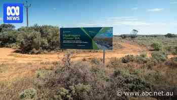 Hydrogen plant in doubt as SA premier refuses to commit to $600m project