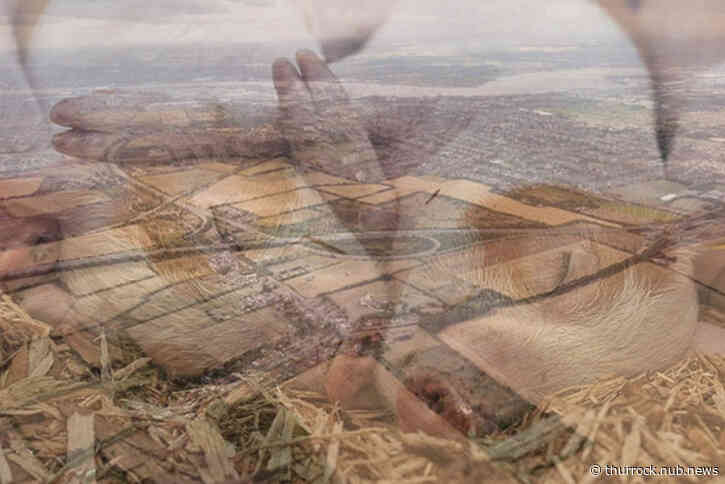 ?Putting green lipstick on a pig? - campaigners ridicule Lower Thames Crossing claims