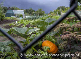 Mbo'ers steken straks de handen uit de mouwen op de Groninger Klei