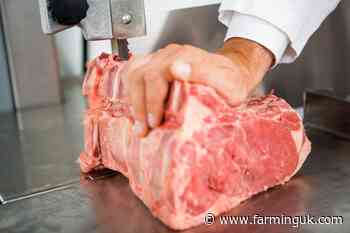 Study calls for levying full rates of VAT on meat and dairy