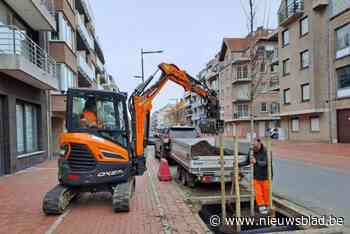 65 bomen in Paul Parmentierlaan worden vervangen, andere straten volgen later