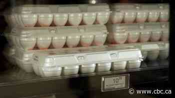 Why Canada is safe, for now, from very high egg prices