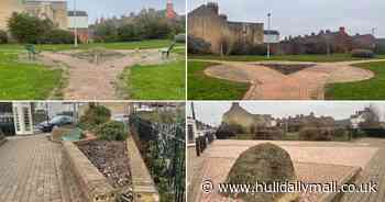 New 'pocket park' unveiled in Hull