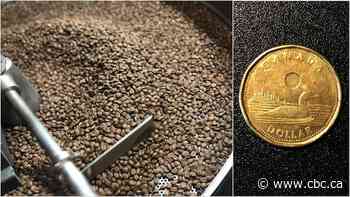 What's driving up the price of specialty coffee in Calgary? The weak loonie is one factor