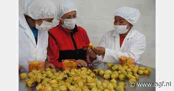 "Het lijkt decoratie, maar is superfood"