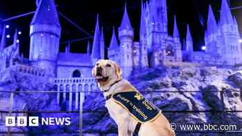 Essex visitors enjoy new accessible Hogwarts tour