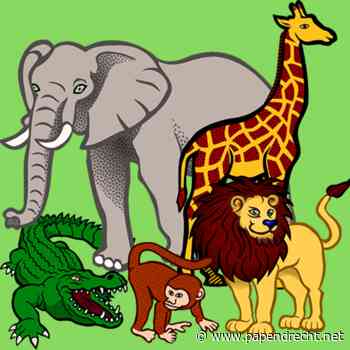 Kleuterfeest bij Speeltuin de Zonnebloem