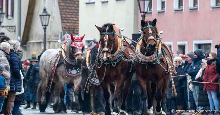 Viele Schaulustige beim Berchinger Rossmarkt