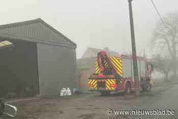 Brandweer maakt houten brug om vijf zeugen uit aalput te bevrijden