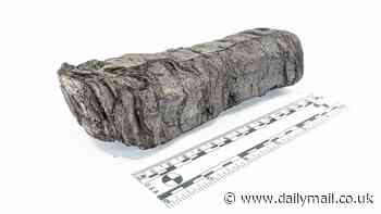 Peer inside the Herculaneum scroll for the first time in 2,000 years: Scientists use AI to virtually unfurl a 'badly burnt' manuscript that was charred during the eruption of Mount Vesuvius