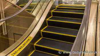 Pictured: The world's shortest escalator, which has just five steps and a journey time of six seconds