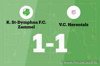 Zammel B deelt thuis de punten met VC Herentals